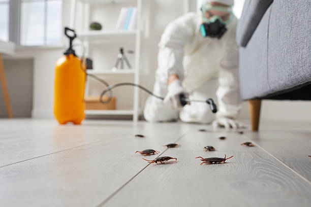 Commercial Kitchen Cockroach Control in Leakesville
